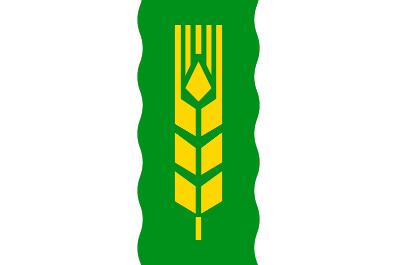 Флаг Марьяновского района.